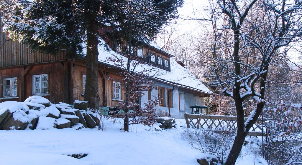 Homestay Goscinne Arnika Gorska